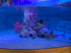 -沈阳海洋探索中心