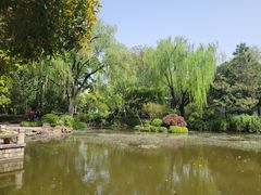 -秋霞圃