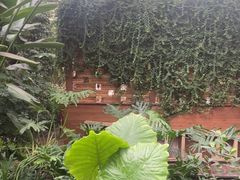 -金稼园·金平湖农家菜