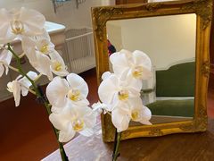 -因特拉肯贝乌里瓦奇大酒店