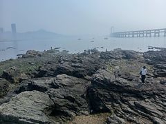 -黑石礁公园