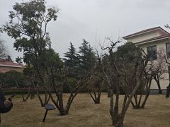 -上海虹桥迎宾馆