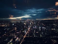 -瑞吉酒店·The Drawing Room闲逸廊·云端下午茶·夜奢Whiskey