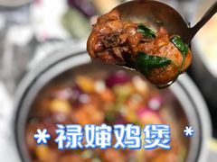 -禄婶鸡煲·打边炉