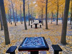 -天元公园