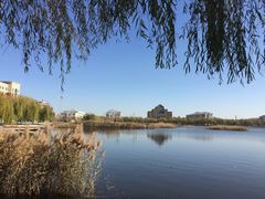 -南开大学滨海学院