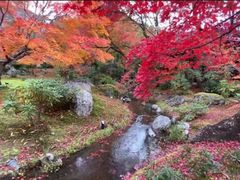 -有栖山 清光院 清水寺