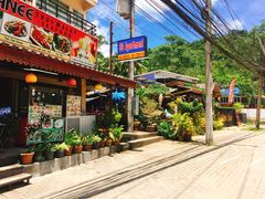 -Jungle Kitchen