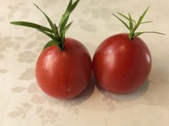 -食悦江南·淮扬菜·烤鸭(亚运村·惠新店)