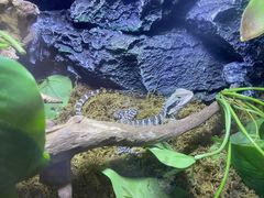-海南热带野生动植物园