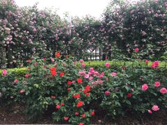 -七里庄(地铁站)