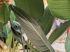 -雲物·云南小馆(好悦天地店)