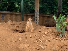 -青岛森林野生动物世界