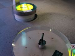 -陕西自然博物馆