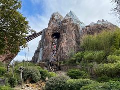 -奥兰多迪士尼动物王国乐园