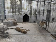 -龙口动植物园