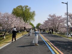 -羊山湖公园