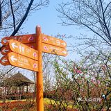反正门票才20元，太值得推荐了