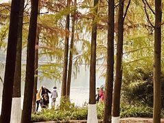 -重庆彩云湖湿地公园