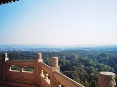 -灵谷景区