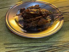 -杨记烤肉老店