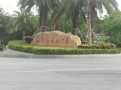 -宝安西湾红树林湿地公园