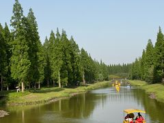 -黄海国家森林公园