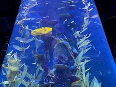 -广州海洋馆