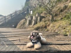 -原乡小镇度假乐园