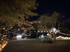 -芭厘农庄老字号·清远鸡