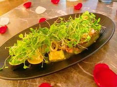 -Hi City·城市之巅