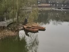 -大连植物园
