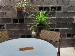 -树咖啡tree coffee