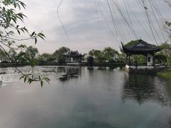 -无锡蠡湖国家湿地公园-蠡园