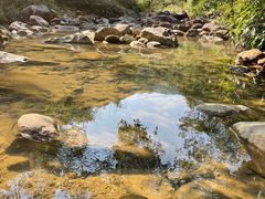 -广州白江湖森林公园