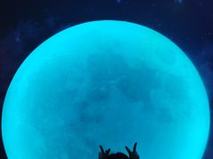 -天津梵高星空艺术馆(天河城旗舰店)