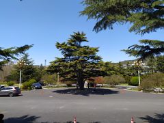 -棒棰岛宾馆景区