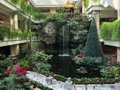 -白天鹅宾馆-宏图府餐厅