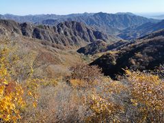 -大岭沟猕猴桃谷风景区