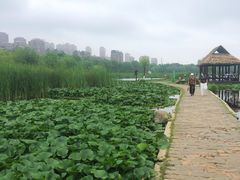 -前关湿地公园