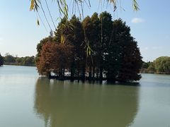 -尚湖风景区