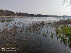 -东湖落雁景区