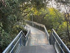 -佛山华盖山公园
