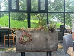 -北马山庄植趣咖啡