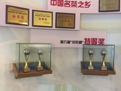 -天目湖山水园