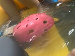 -将军关探险漂流