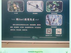 -福道