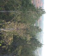 iphone_upload_pic-景山公园