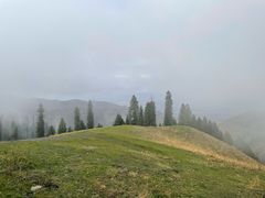 -新疆那拉提国家旅游度假区