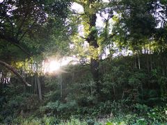-塔川景区